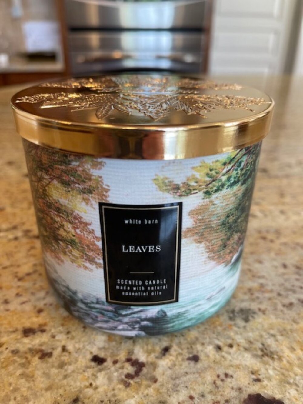 LEAVES Big 3-Wick Candle Bath & Body Works Autumn Clove Spice Nectar Apple Fall